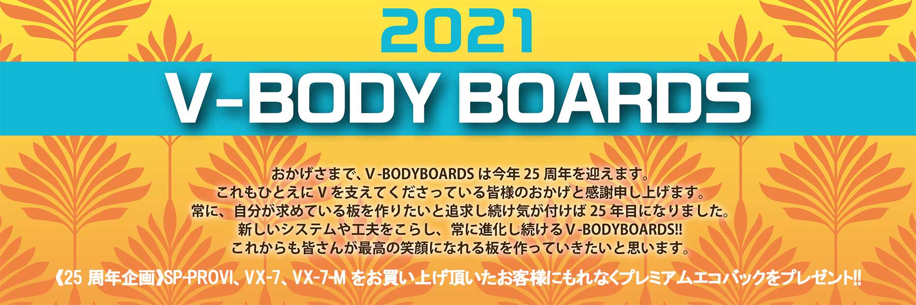 V Body Boards 21モデル Vボディーボード バズコーポレーション